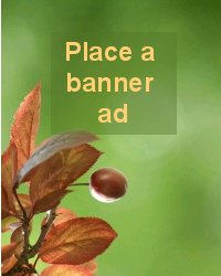 Banner Ads are 200 pix wide and up to 250 pix high